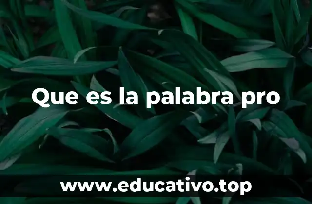 Que es la palabra pro
