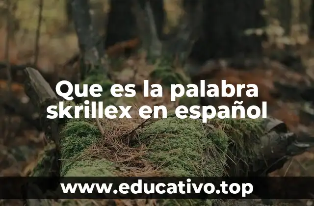 Que es la palabra skrillex en español