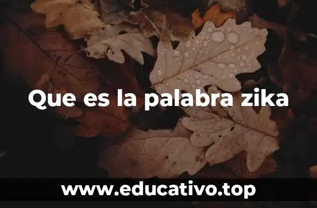 Que es la palabra zika