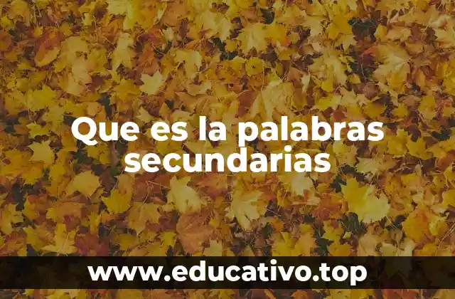 Que es la palabras secundarias