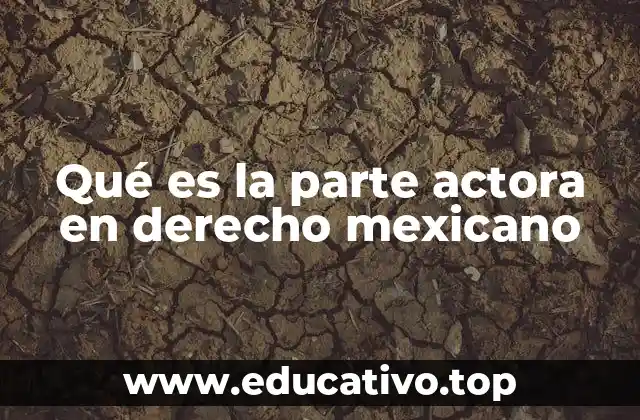 Qué es la parte actora en derecho mexicano