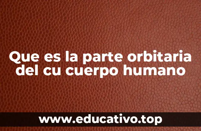 Que es la parte orbitaria del cu cuerpo humano