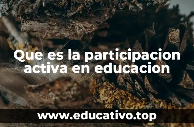 Que es la participacion activa en educacion