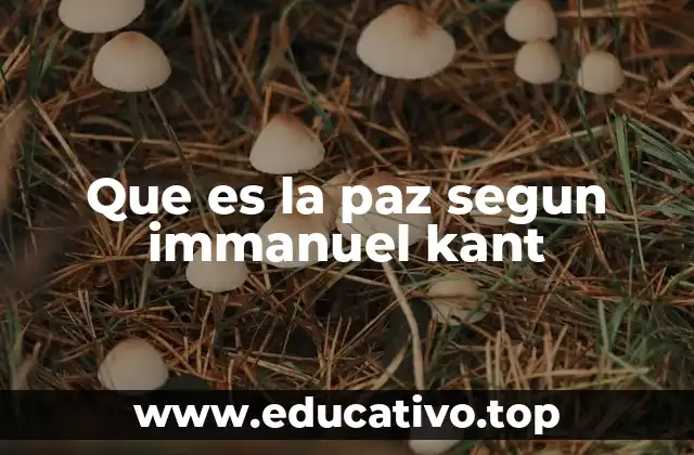 Que es la paz segun immanuel kant
