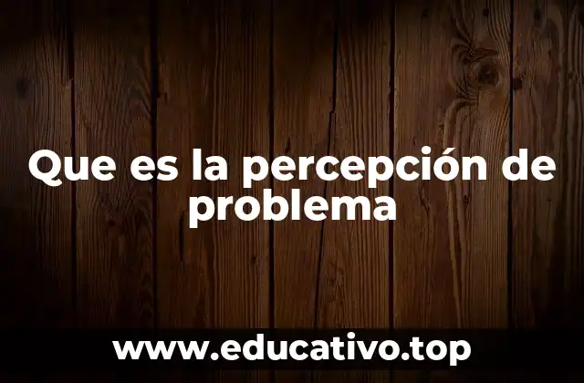 Que es la percepción de problema
