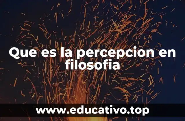 Que es la percepcion en filosofia