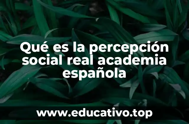 Qué es la percepción social real academia española