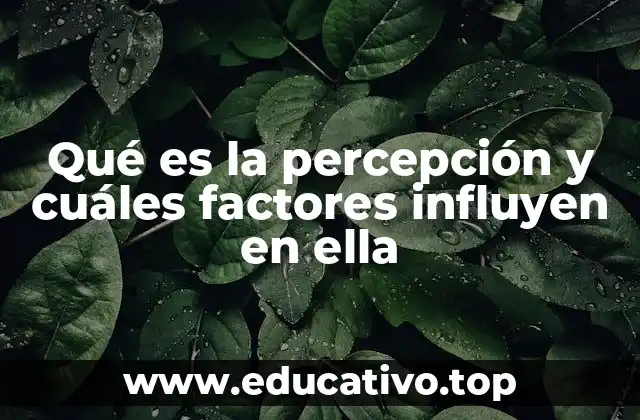 Cómo la mente interpreta la realidad a través de la percepción