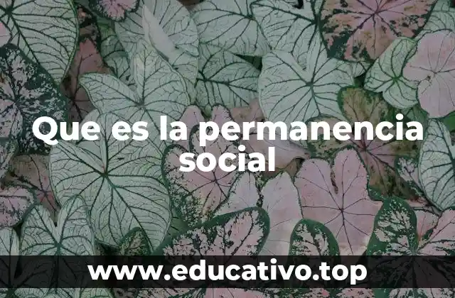 Que es la permanencia social