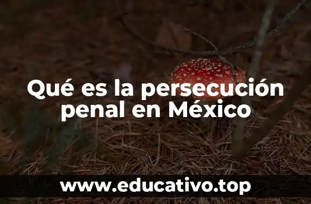 Qué es la persecución penal en México
