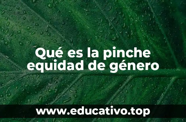 Qué es la pinche equidad de género
