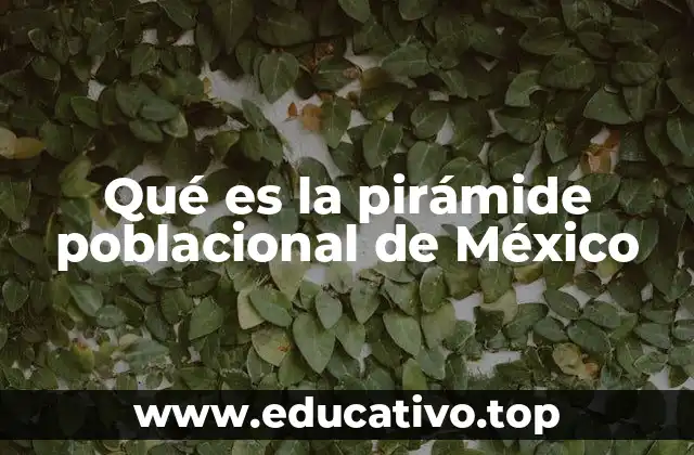 Qué es la pirámide poblacional de México