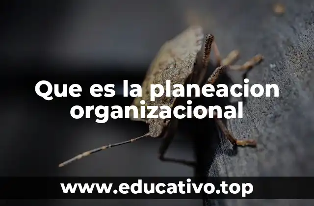 Que es la planeacion organizacional