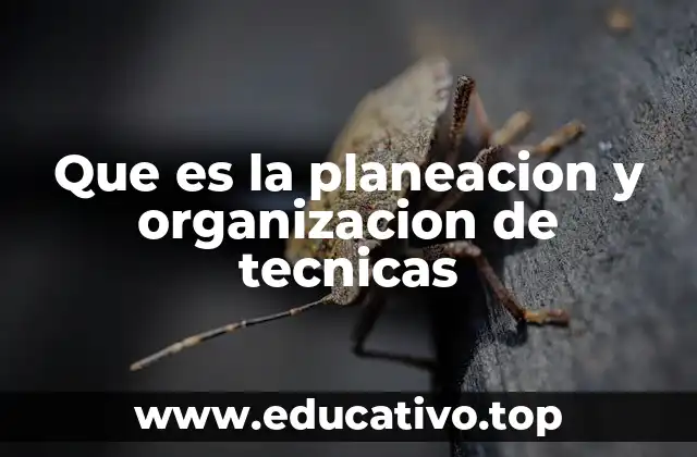 La importancia de estructurar métodos y procedimientos