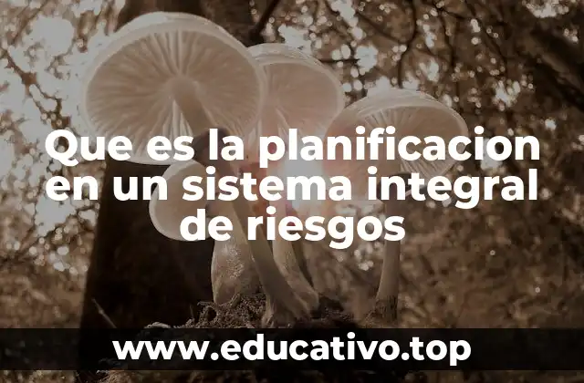 Que es la planificacion en un sistema integral de riesgos