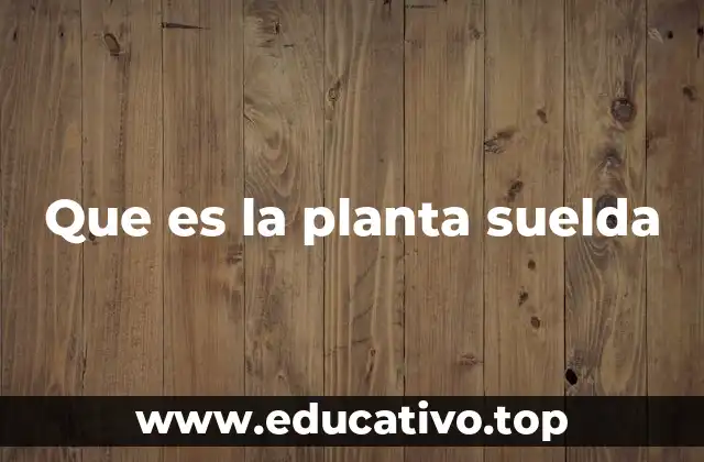Que es la planta suelda