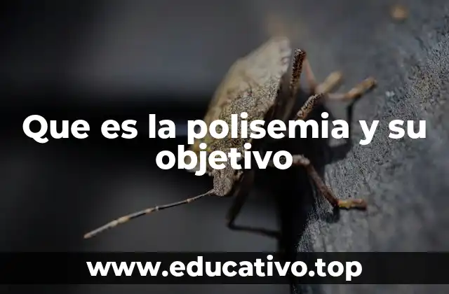 El papel de la polisemia en la comprensión del lenguaje