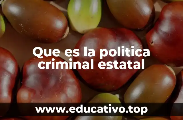 Que es la politica criminal estatal