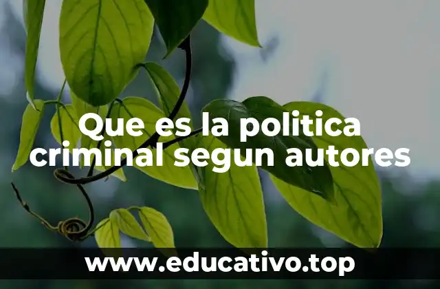 Que es la politica criminal segun autores