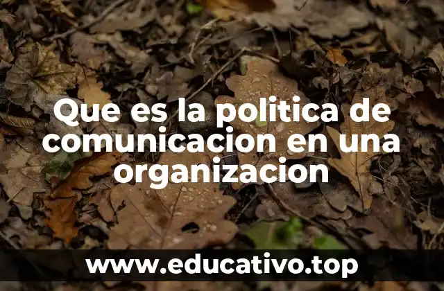 Que es la politica de comunicacion en una organizacion