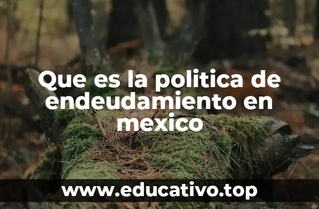 Que es la politica de endeudamiento en mexico