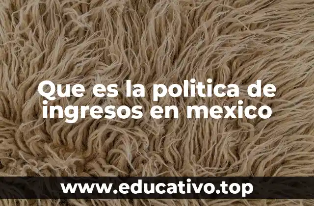 Que es la politica de ingresos en mexico