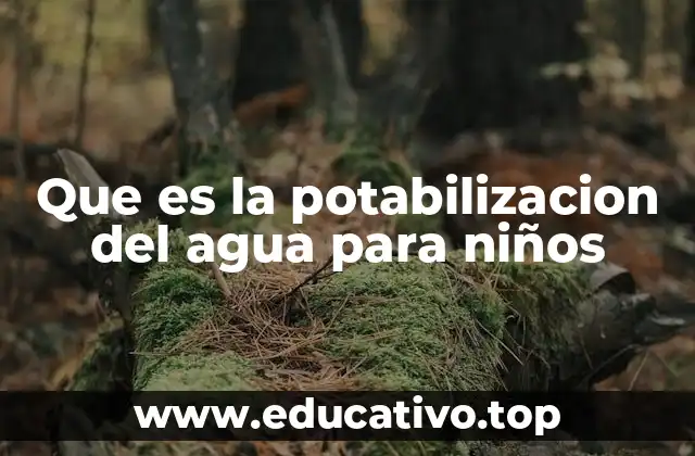 El viaje del agua desde la naturaleza hasta tu vaso
