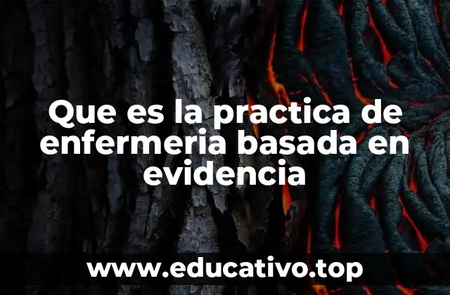 Que es la practica de enfermeria basada en evidencia