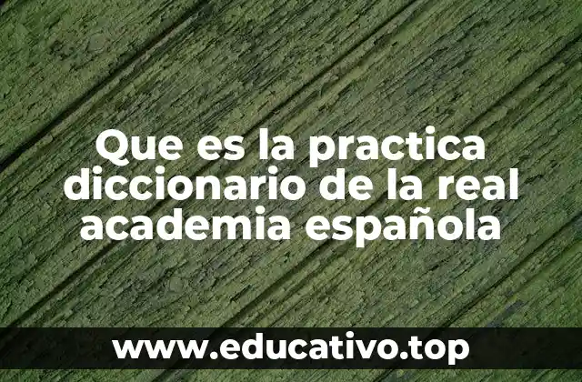 Que es la practica diccionario de la real academia española