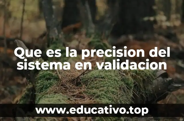 Que es la precision del sistema en validacion