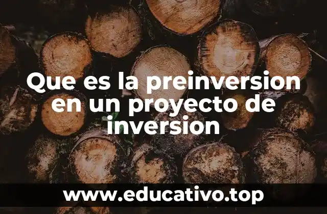 Que es la preinversion en un proyecto de inversion