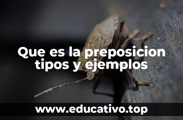 La importancia de las preposiciones en la construcción de oraciones