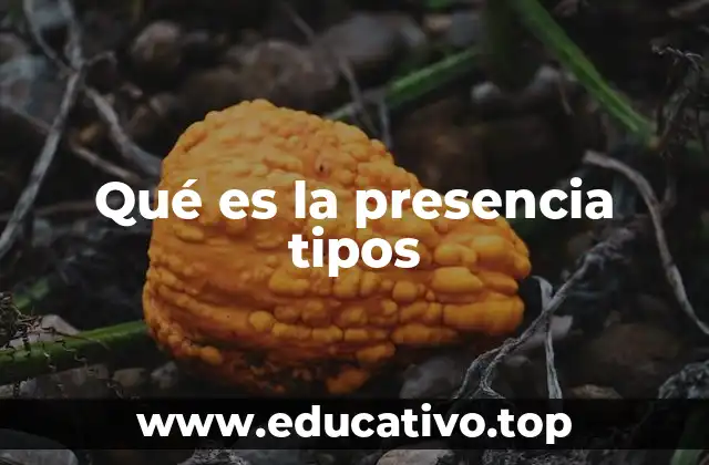 Qué es la presencia tipos