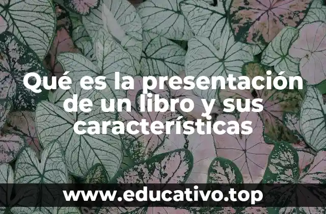 Qué es la presentación de un libro y sus características