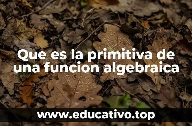 Que es la primitiva de una funcion algebraica