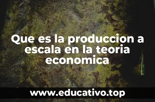 Factores que influyen en la producción a escala