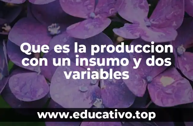 Que es la produccion con un insumo y dos variables