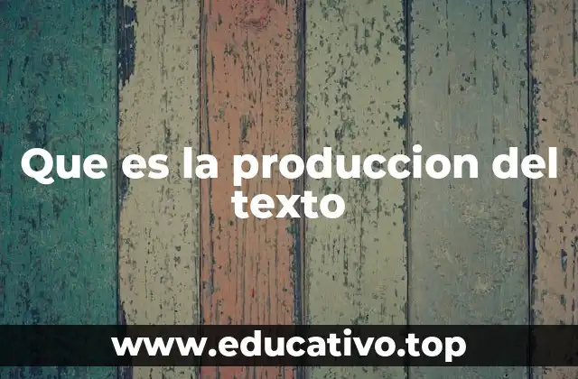 Que es la produccion del texto
