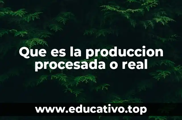Que es la produccion procesada o real