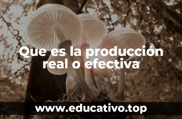 Que es la producción real o efectiva