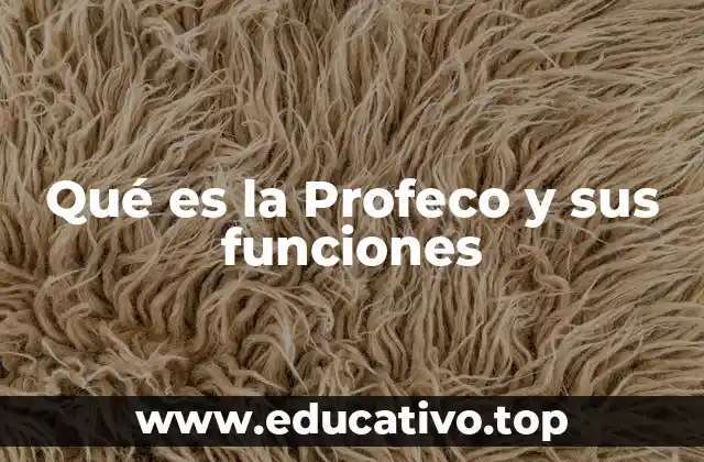 El rol de la Profeco en la economía mexicana