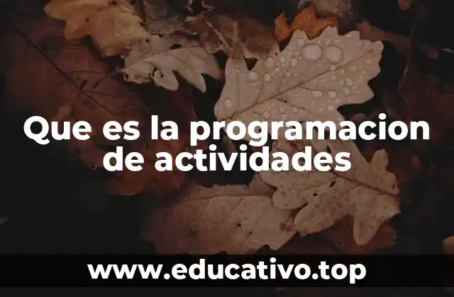 Que es la programacion de actividades