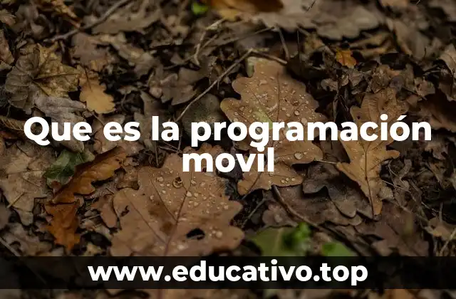 Que es la programación movil
