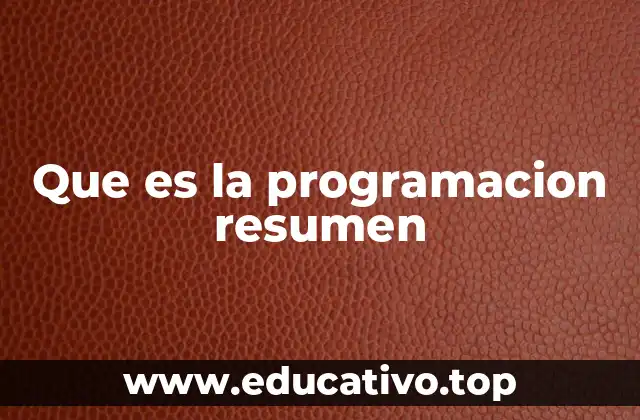 El papel de la programación en la sociedad moderna