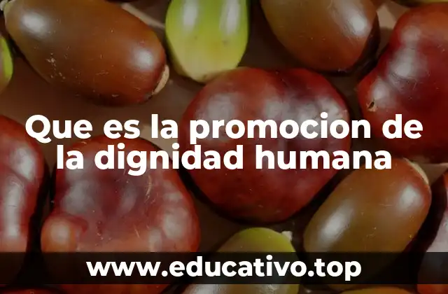 Que es la promocion de la dignidad humana