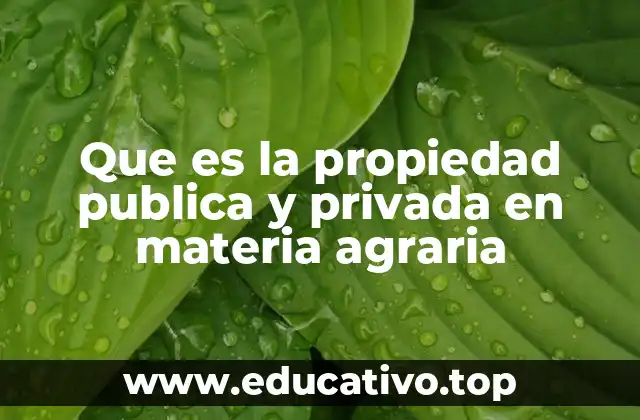 Que es la propiedad publica y privada en materia agraria