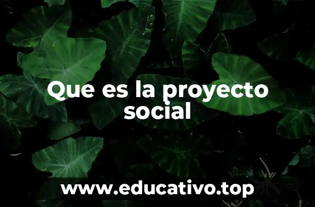 El rol de los proyectos sociales en el desarrollo comunitario