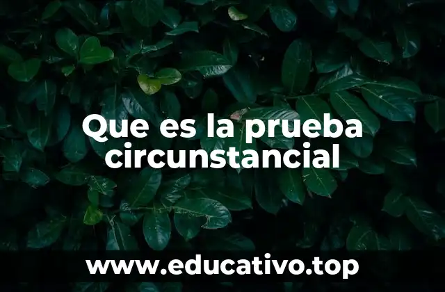 Que es la prueba circunstancial