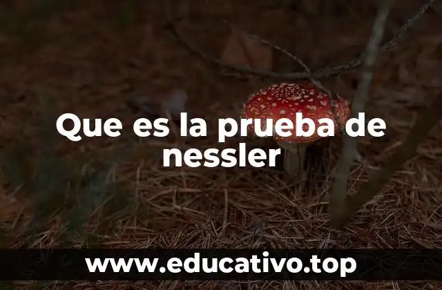 Que es la prueba de nessler