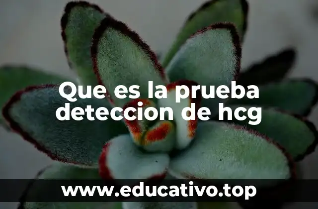 Que es la prueba deteccion de hcg